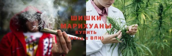 сатива Армянск