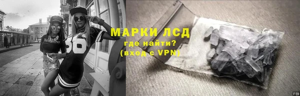 гидра Аркадак
