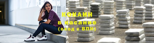 гидра Аркадак