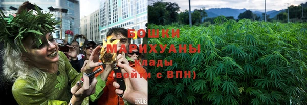 гидра Аркадак