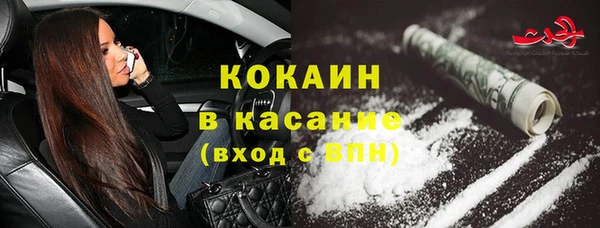 стафф Арсеньев