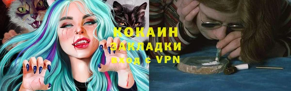 сатива Армянск